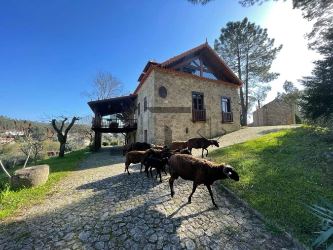 Quinta T7 para Venda em Pessegueiro do Vouga Foto 7