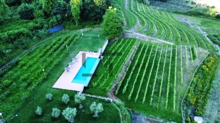 Quinta T7 para Venda em Pessegueiro do Vouga Foto 11