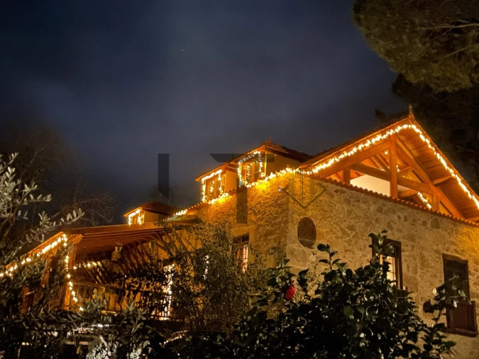 Quinta T7 para Venda em Pessegueiro do Vouga Foto 24