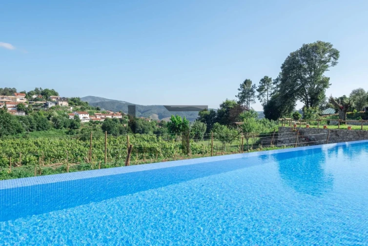 Quinta T7 para Venda em Pessegueiro do Vouga Foto 48