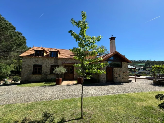 Quinta T7 para Venda em Pessegueiro do Vouga Foto 72