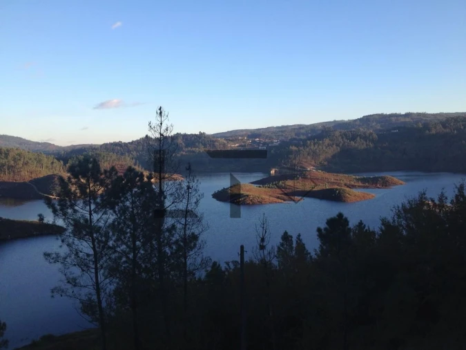 Quinta T7 para Venda em Pessegueiro do Vouga Foto 113