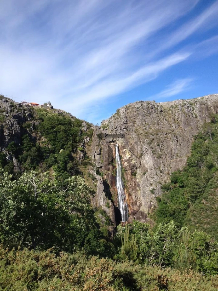 Quinta T7 para Venda em Pessegueiro do Vouga Foto 115