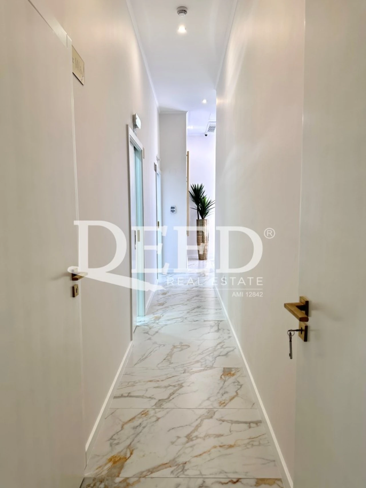 Negócio para Venda em São Martinho Foto 26