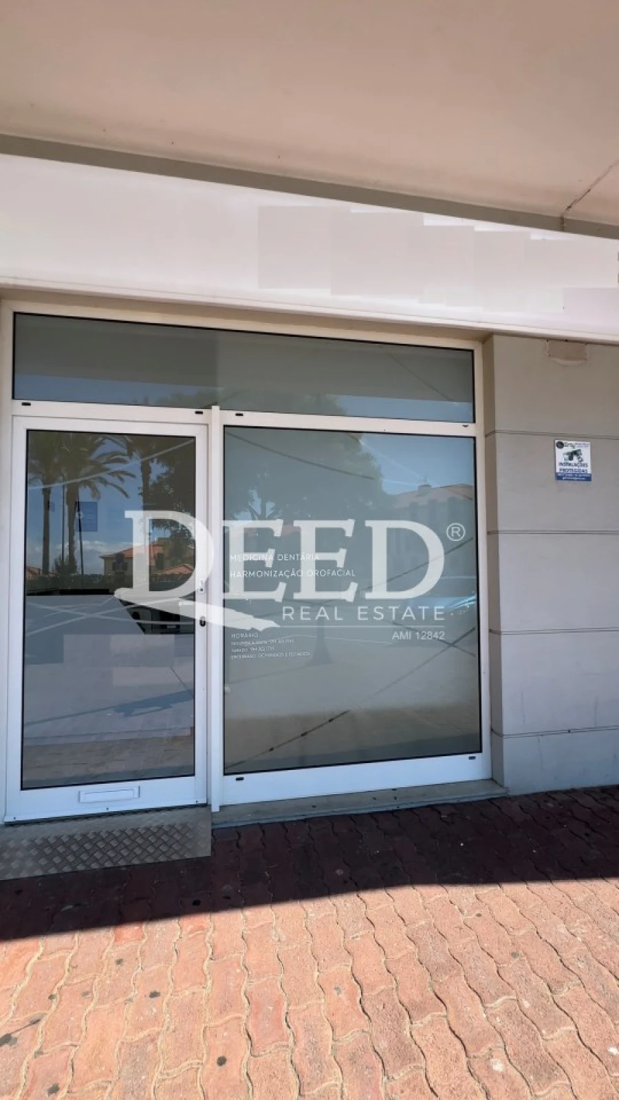 Negócio para Venda em São Martinho Foto 33