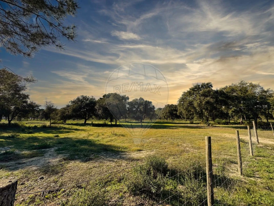 Terreno para Venda em Poceirão e Marateca Foto 1