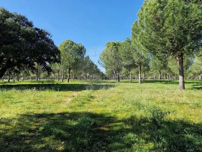 Terreno para Venda em Poceirão e Marateca Foto 7