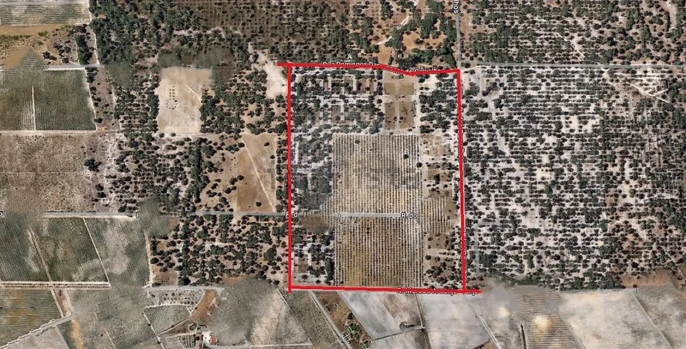 Terreno para Venda em Poceirão e Marateca Foto 8