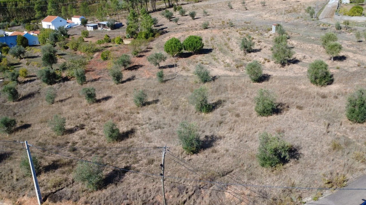 Terreno para Venda em Ortiga Foto 4