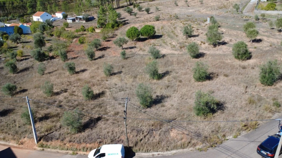 Terreno para Venda em Ortiga