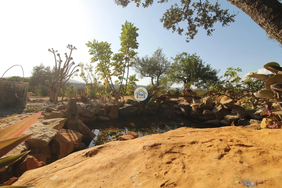 Terreno para Venda em Moncarapacho e Fuseta Foto 19