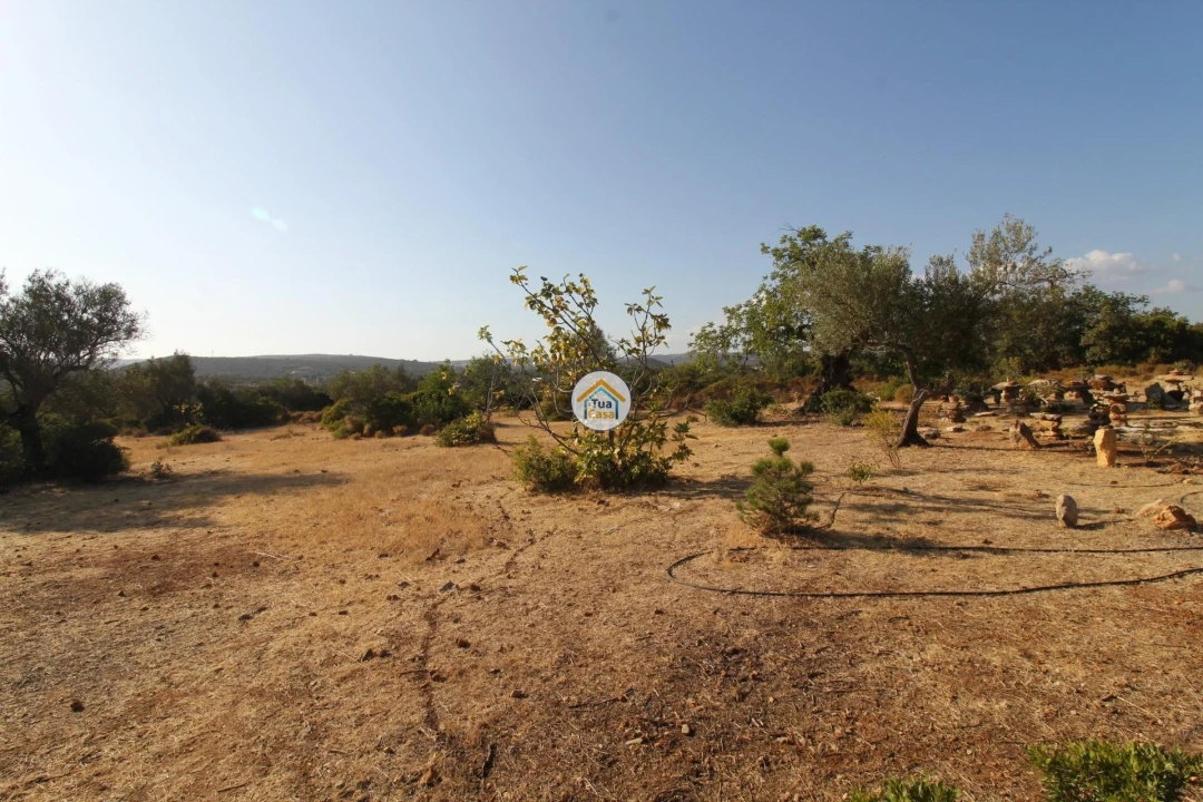 Terreno para Venda em Moncarapacho e Fuseta Foto 11