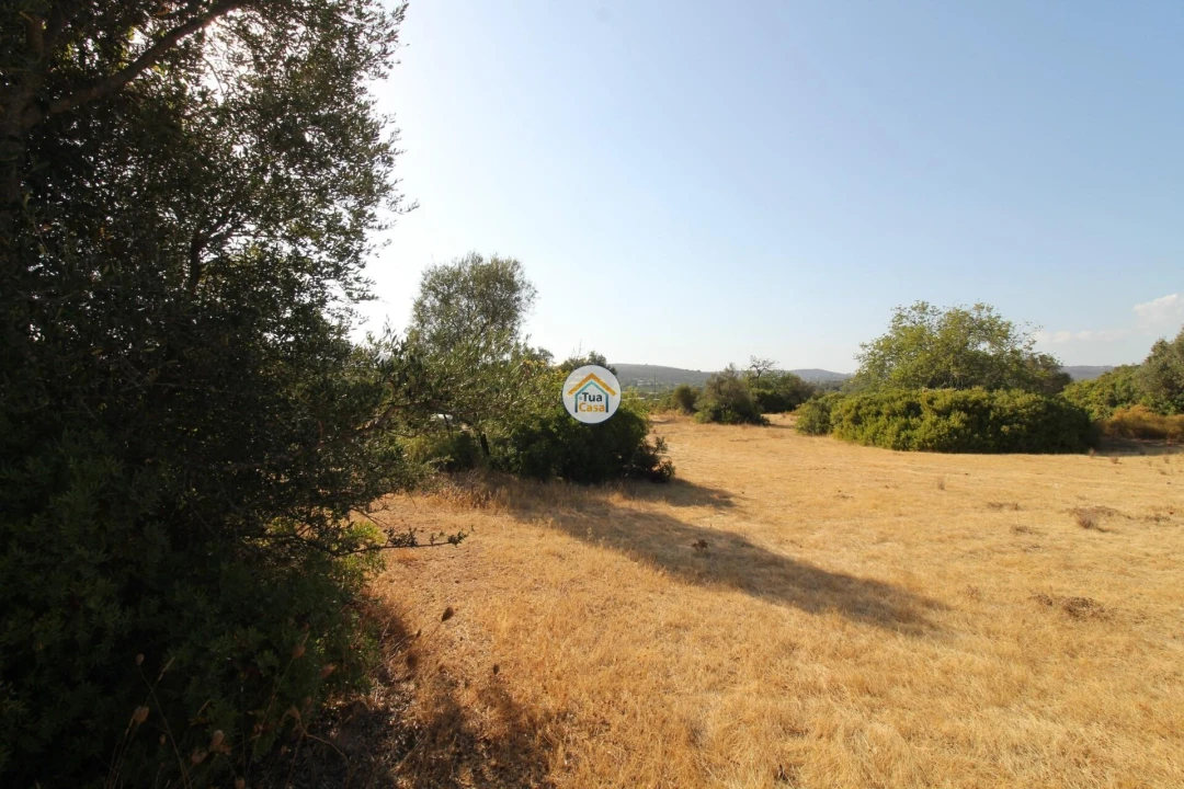 Terreno para Venda em Moncarapacho e Fuseta Foto 4
