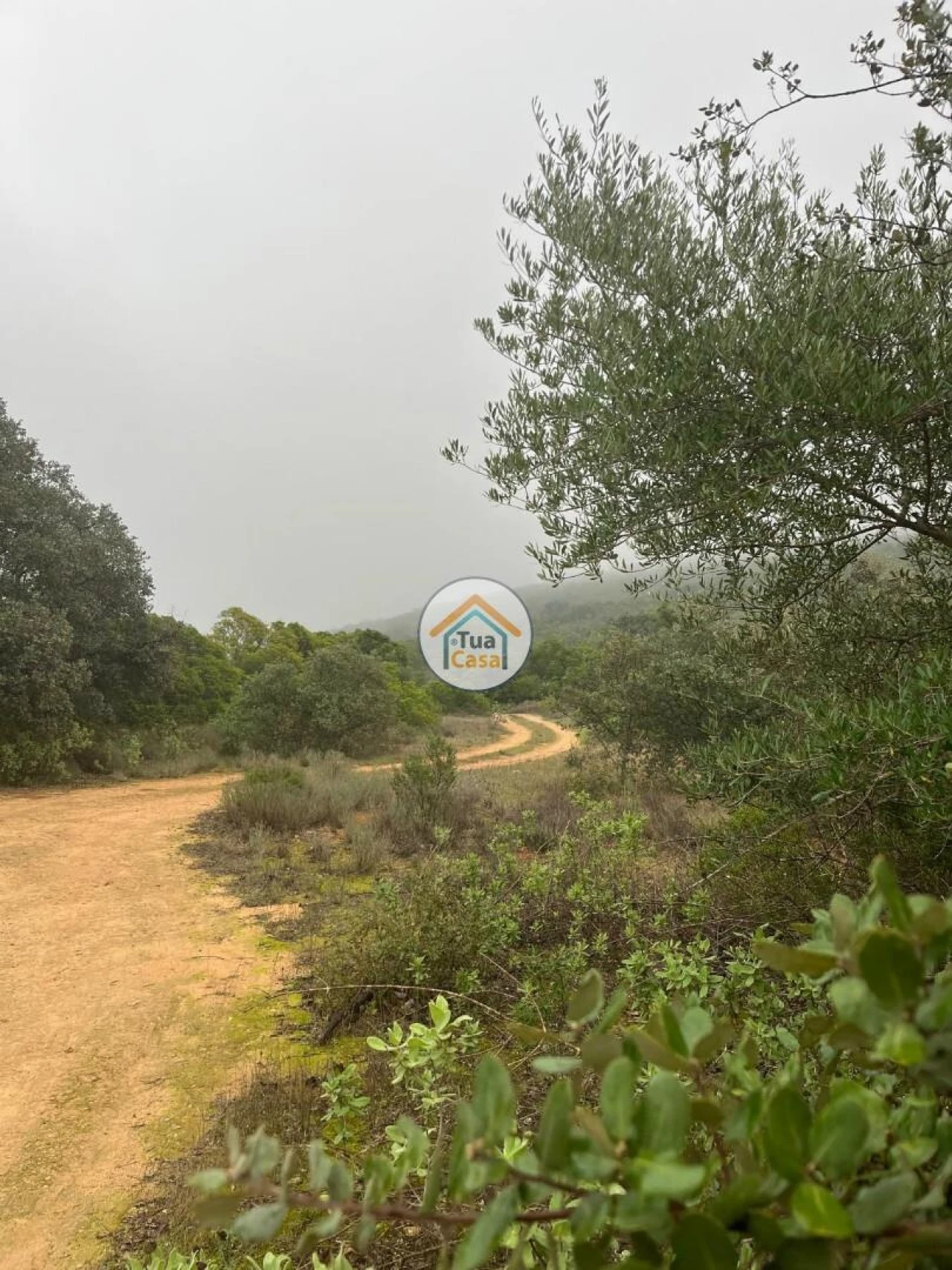 Terreno para Venda em Moncarapacho e Fuseta Foto 39