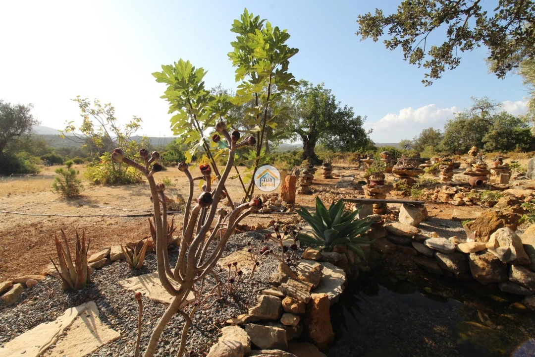 Terreno para Venda em Moncarapacho e Fuseta Foto 20