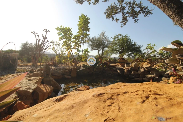 Terreno para Venda em Moncarapacho e Fuseta Foto 19