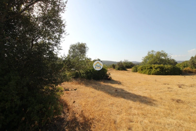 Terreno para Venda em Moncarapacho e Fuseta Foto 4