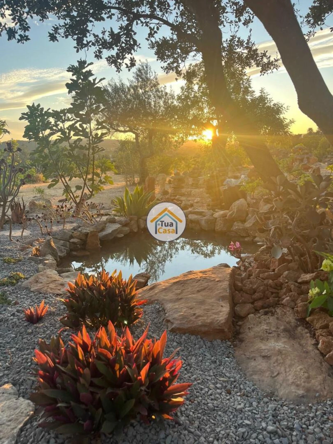 Terreno para Venda em Moncarapacho e Fuseta Foto 37