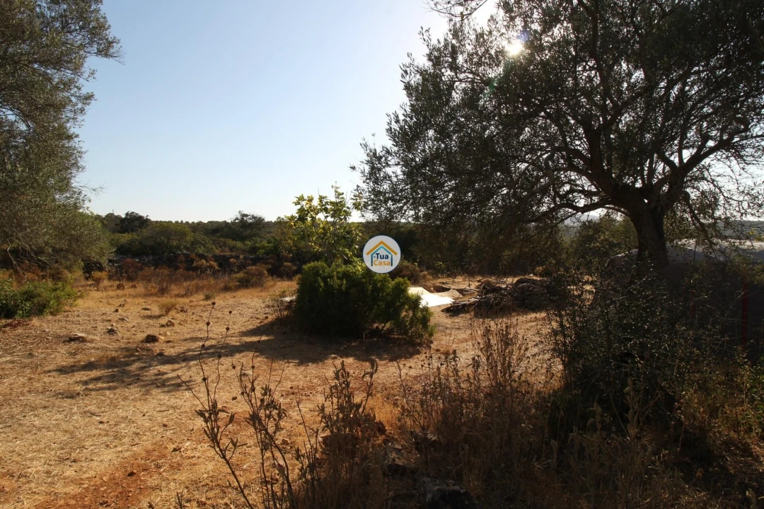 Terreno para Venda em Moncarapacho e Fuseta Foto 7
