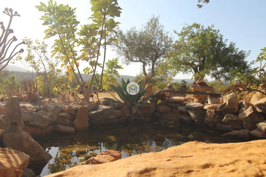 Terreno para Venda em Moncarapacho e Fuseta Foto 18