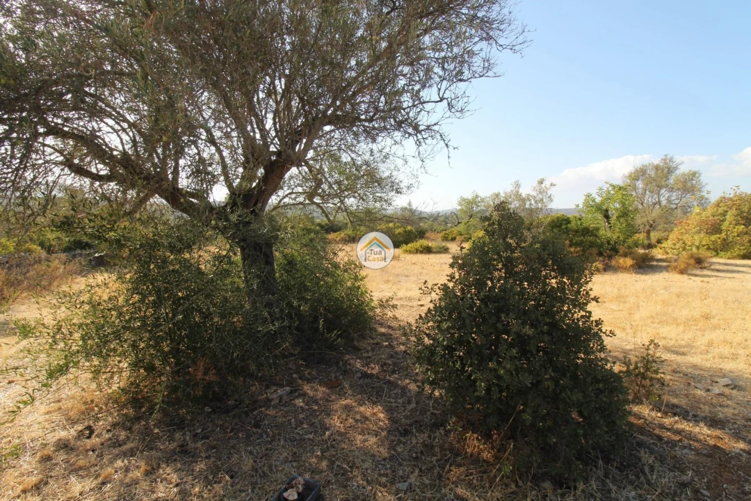 Terreno para Venda em Moncarapacho e Fuseta Foto 13