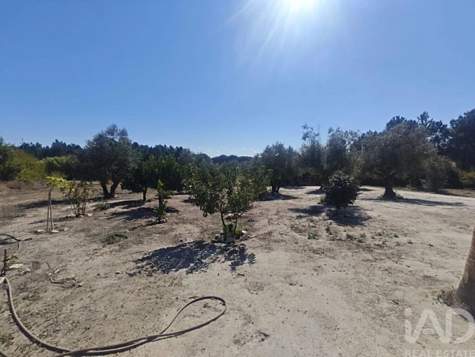 Quinta T2 para Venda em Coruche, Fajarda e Erra Foto 35