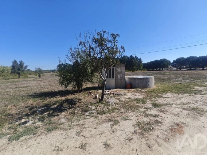 Quinta T2 para Venda em Coruche, Fajarda e Erra Foto 33