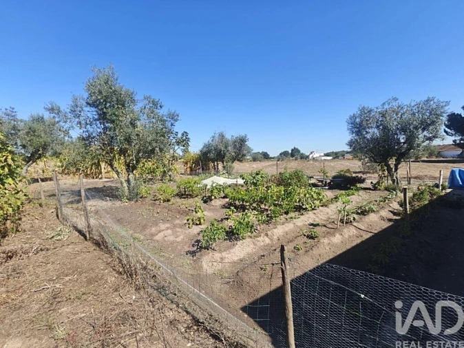 Quinta T2 para Venda em Coruche, Fajarda e Erra Foto 24