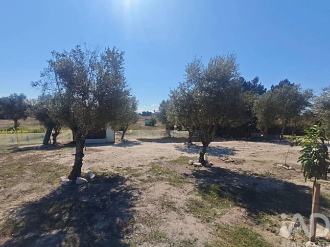 Quinta T2 para Venda em Coruche, Fajarda e Erra Foto 34