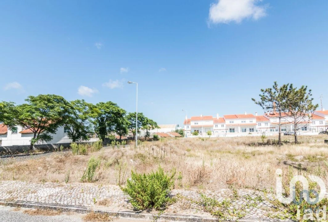 Terreno para Venda em Vieira de Leiria Foto 4