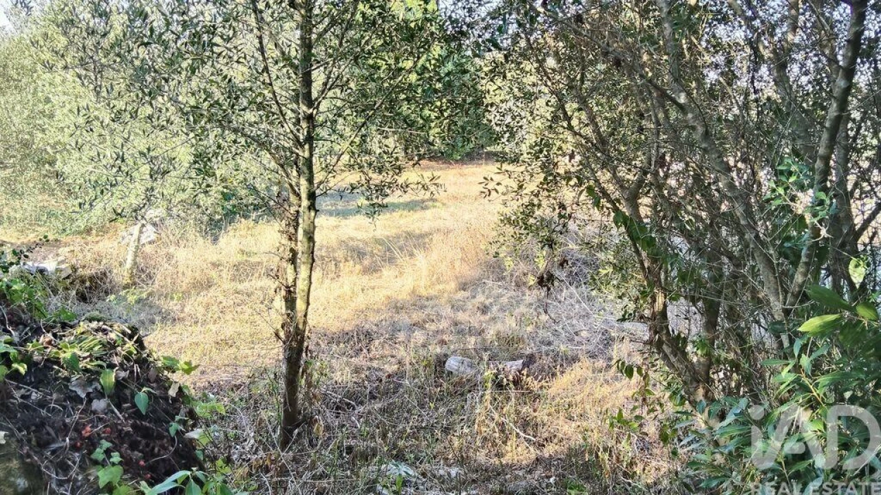 Moradia para Venda em Pousaflores Foto 30