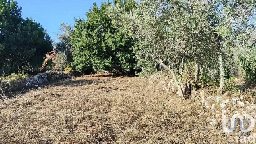 Moradia para Venda em Pousaflores Foto 12