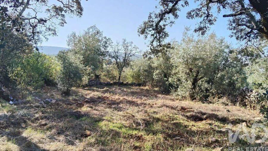 Moradia para Venda em Pousaflores Foto 23