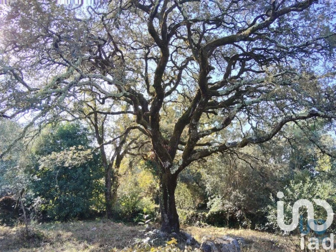 Moradia para Venda em Pousaflores Foto 3