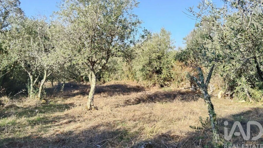 Moradia para Venda em Pousaflores Foto 33