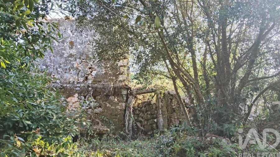 Moradia para Venda em Pousaflores Foto 35