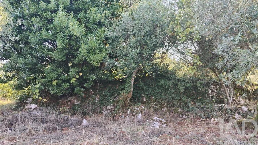 Moradia para Venda em Pousaflores Foto 25