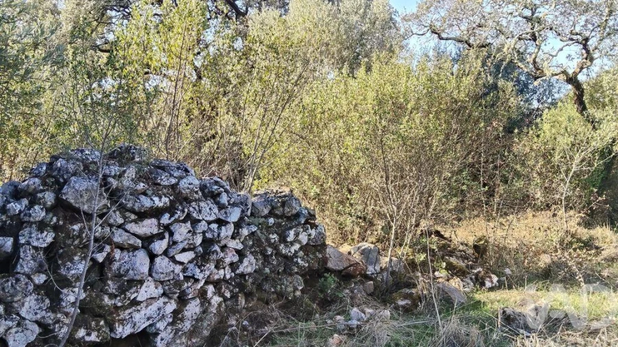 Moradia para Venda em Pousaflores Foto 24