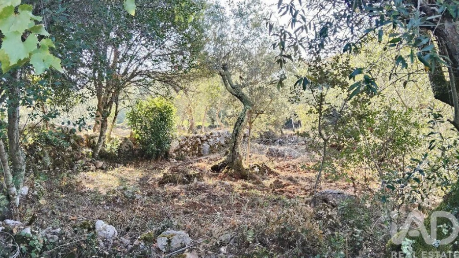 Moradia para Venda em Pousaflores Foto 34