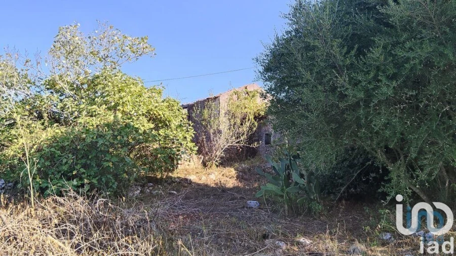 Moradia para Venda em Pousaflores Foto 8