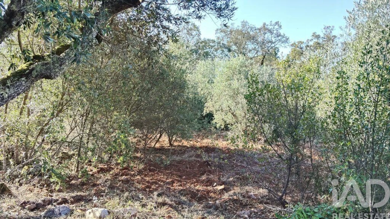 Moradia para Venda em Pousaflores Foto 26