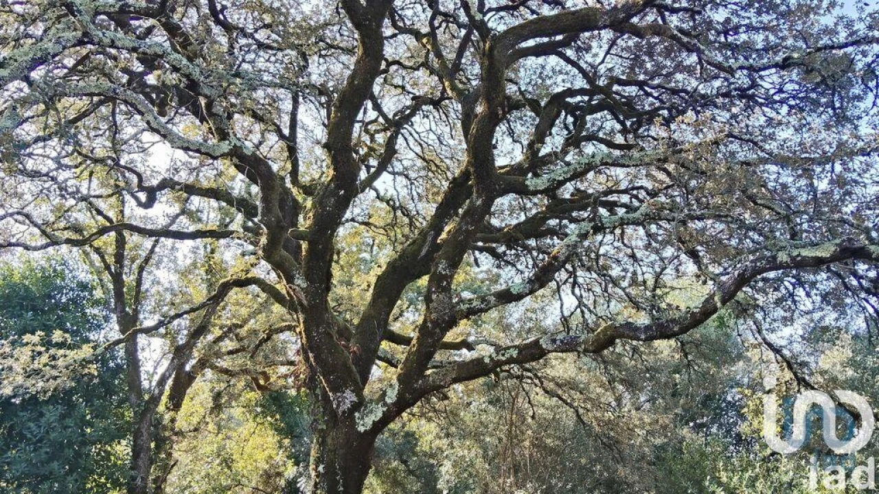 Moradia para Venda em Pousaflores Foto 4