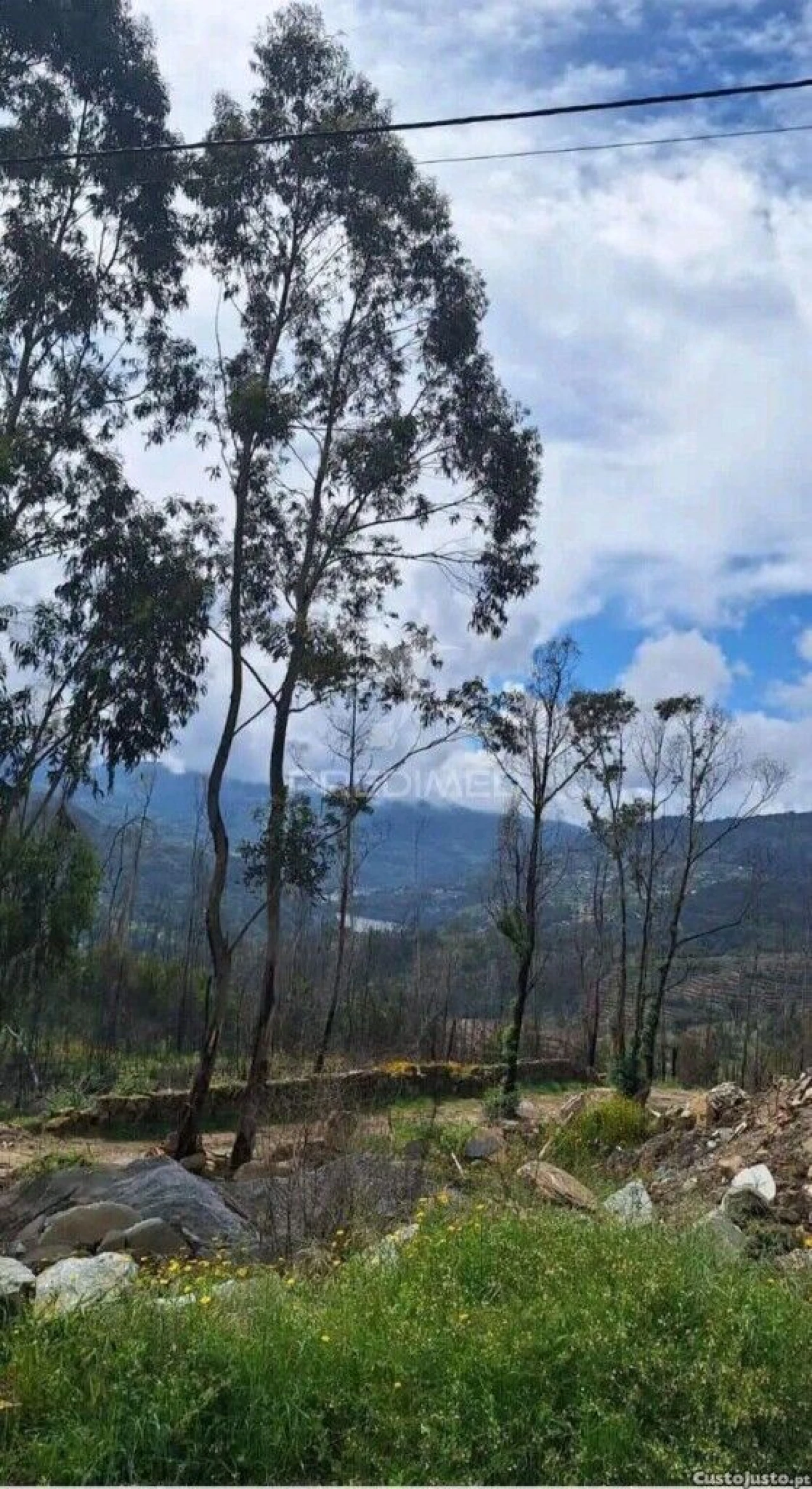 Terreno para Venda em Baião (Santa Leocádia) e Mesquinhata Foto 4