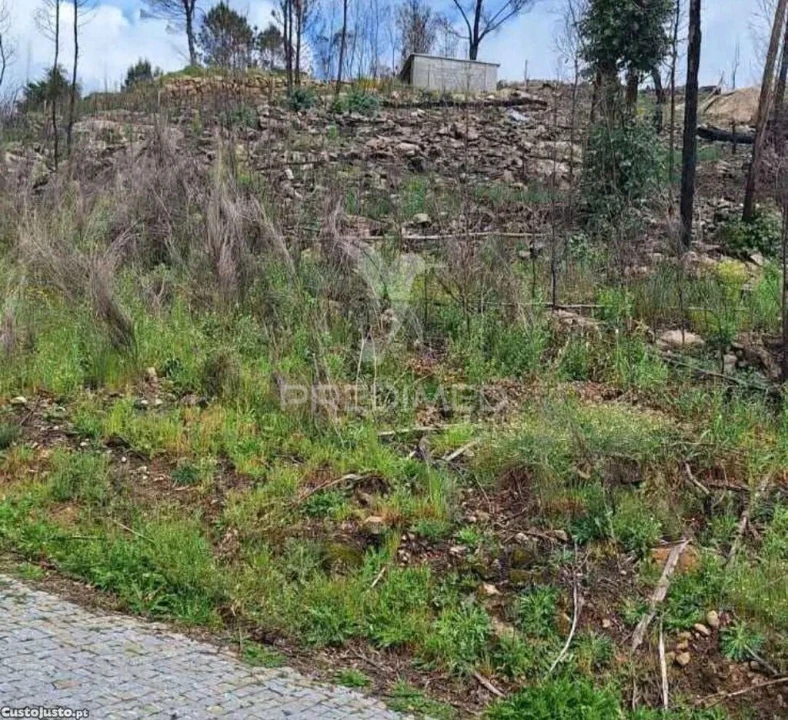 Terreno para Venda em Baião (Santa Leocádia) e Mesquinhata Foto 6