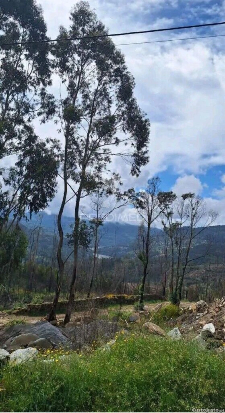 Terreno para Venda em Baião (Santa Leocádia) e Mesquinhata Foto 4