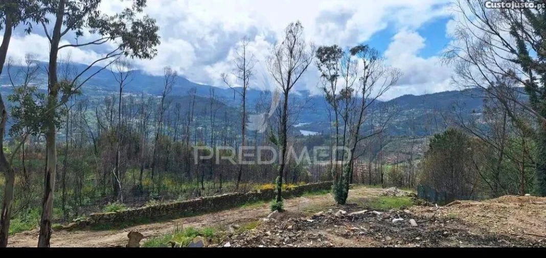 Terreno para Venda em Baião (Santa Leocádia) e Mesquinhata Foto 2