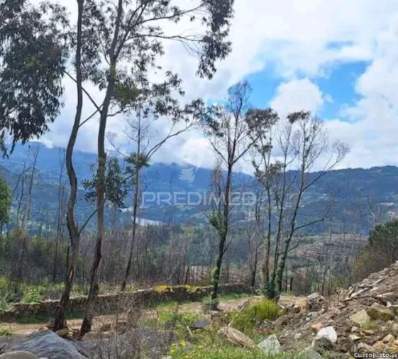 Terreno para Venda em Baião (Santa Leocádia) e Mesquinhata Foto 1
