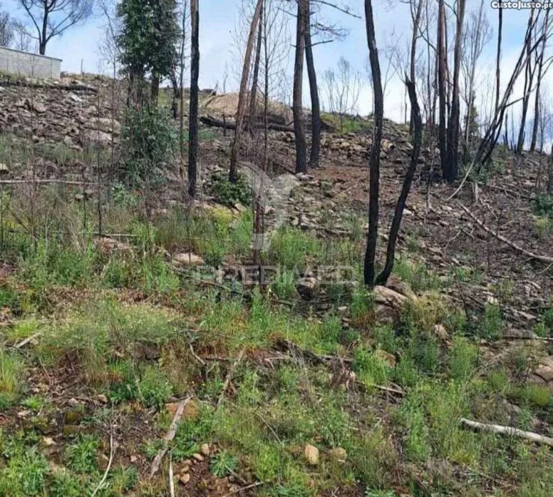 Terreno para Venda em Baião (Santa Leocádia) e Mesquinhata Foto 5
