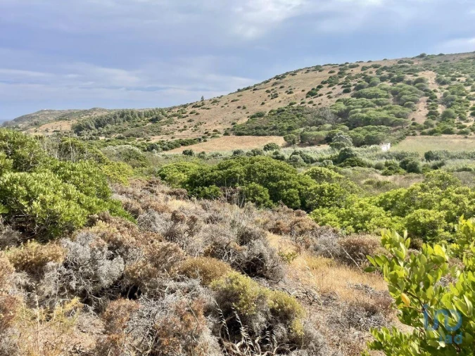 Terreno para Venda em Budens Foto 11
