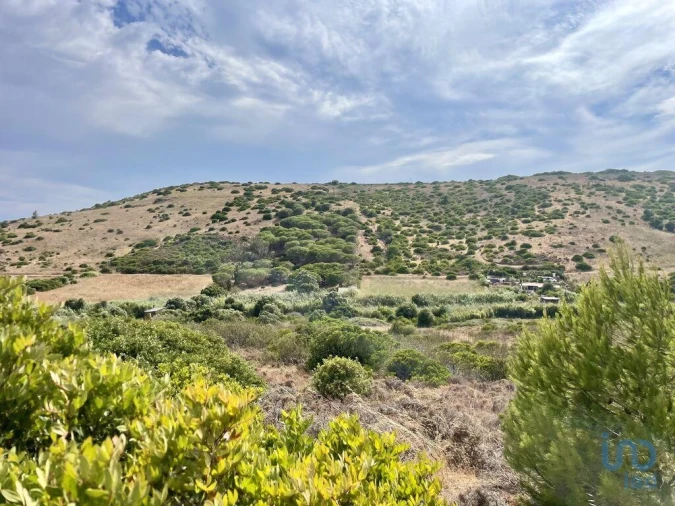 Terreno para Venda em Budens Foto 6
